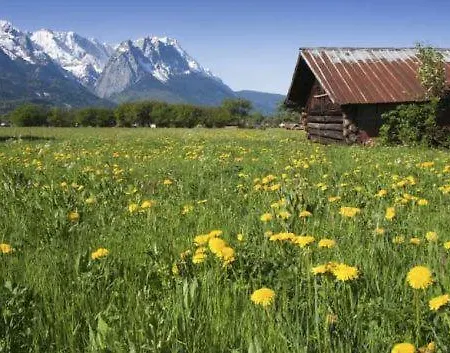 Alpenkette Appartement